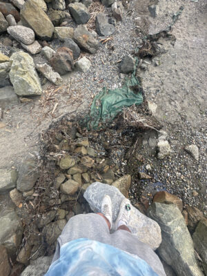 a person lying on the ground (MyCoast AI)