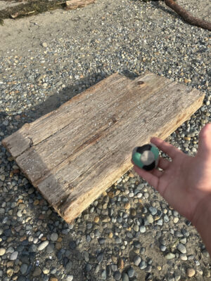 a hand holding a green bottle (MyCoast AI)