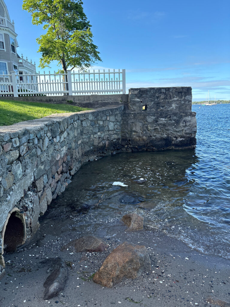 a stone wall with a tree and a body of water (MyCoast AI)