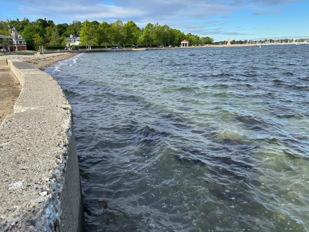 a body of water with a stone wall and trees in the background (MyCoast AI)