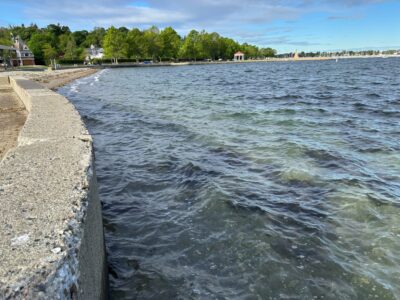 a body of water with a stone wall and trees in the background (MyCoast AI)
