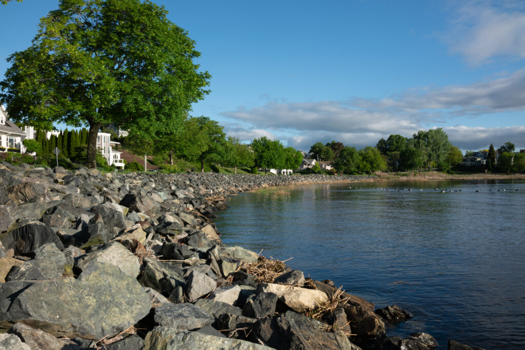 a rocky shore with trees and houses (MyCoast AI)
