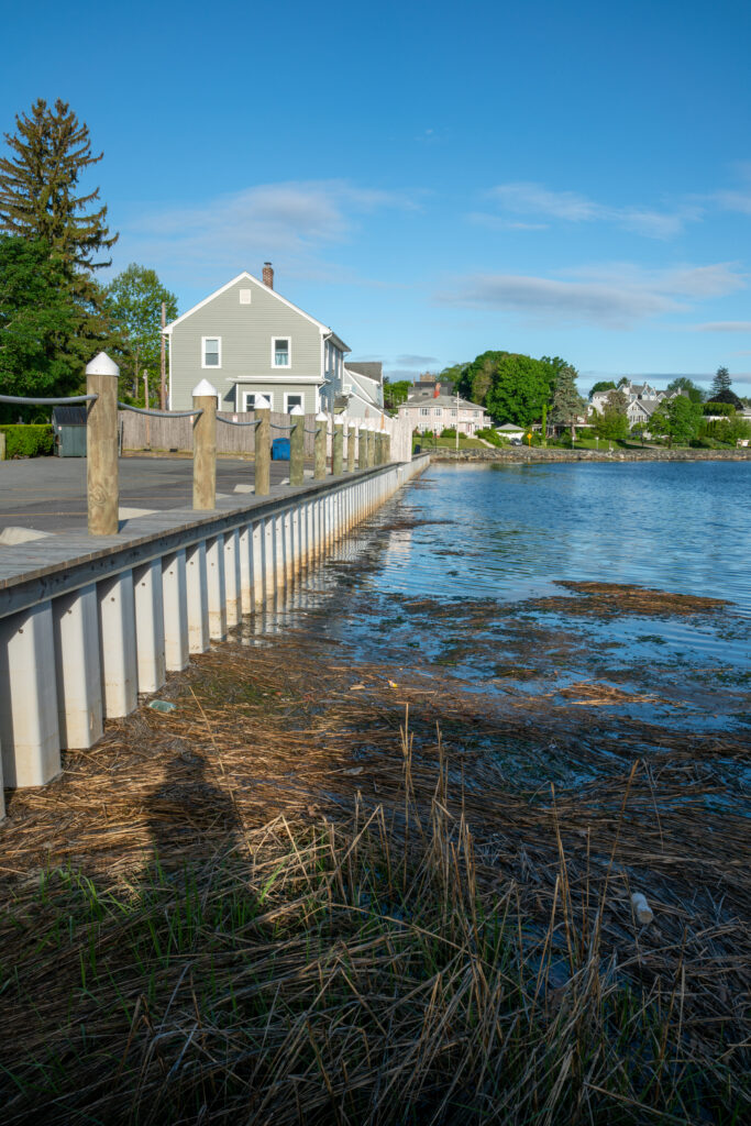 a body of water with a bridge and grass and buildings in the background (MyCoast AI)