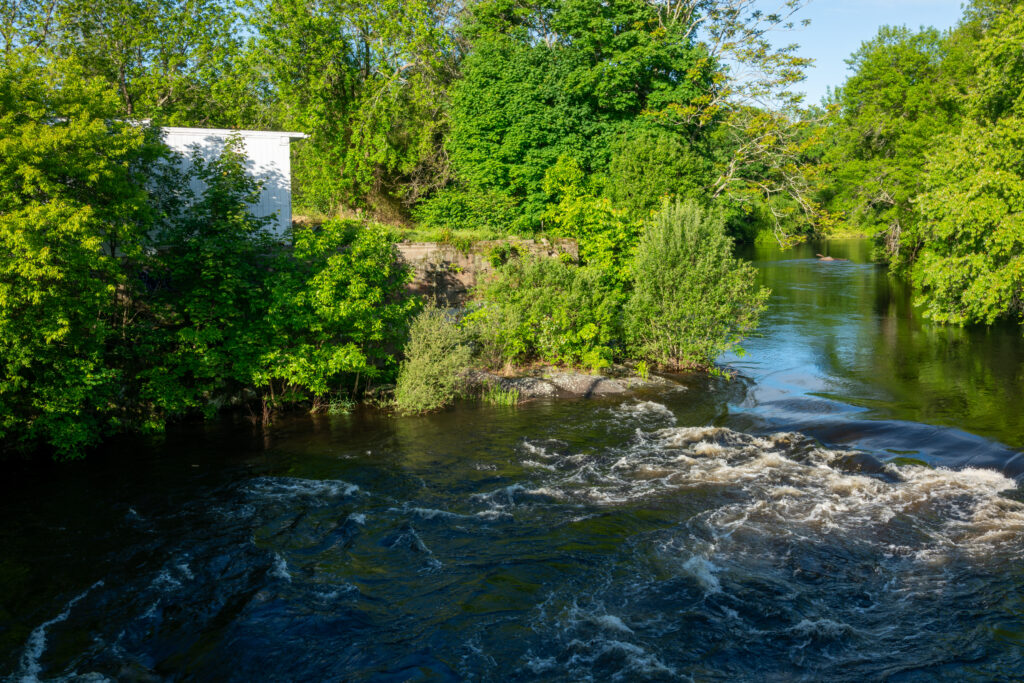 a river with rocks and trees (MyCoast AI)