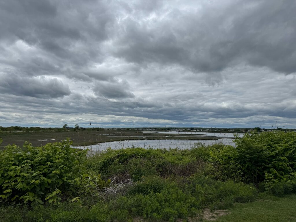 a bridge over a river (MyCoast AI)