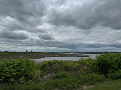 a bridge over a river (MyCoast AI)