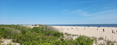 a group of people walking on a beach (MyCoast AI)
