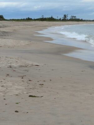 a sandy beach with waves crashing on it (MyCoast AI)