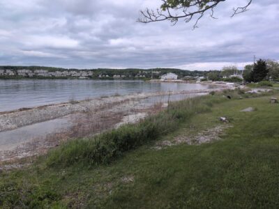 a grassy area next to a body of water (MyCoast AI)