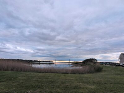 a body of water with grass and trees around it (MyCoast AI)