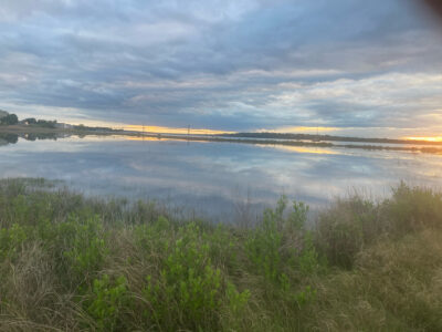 a body of water with grass and trees around it (MyCoast AI)