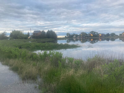 a body of water with grass and trees around it (MyCoast AI)