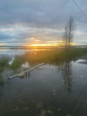 a body of water with a tree and a sunset in the background (MyCoast AI)