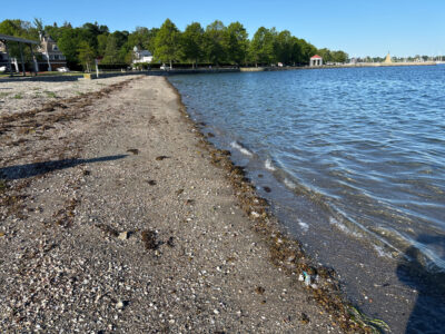 a rocky beach with a body of water and houses in the background (MyCoast AI)
