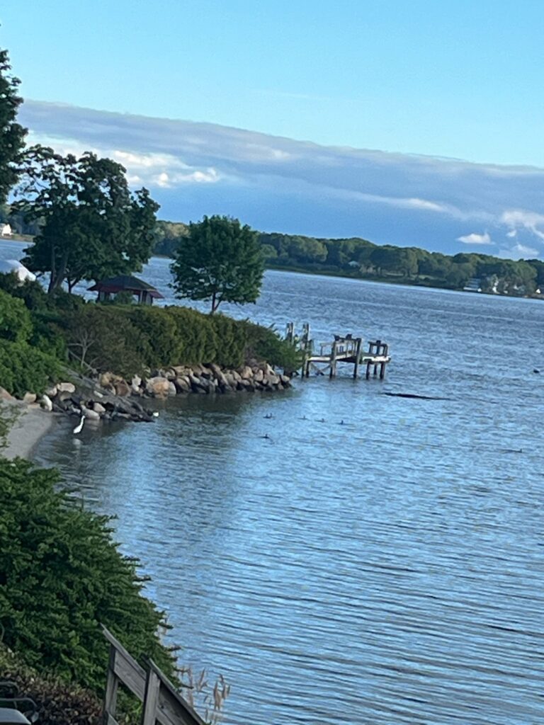 a dock over a body of water (MyCoast AI)