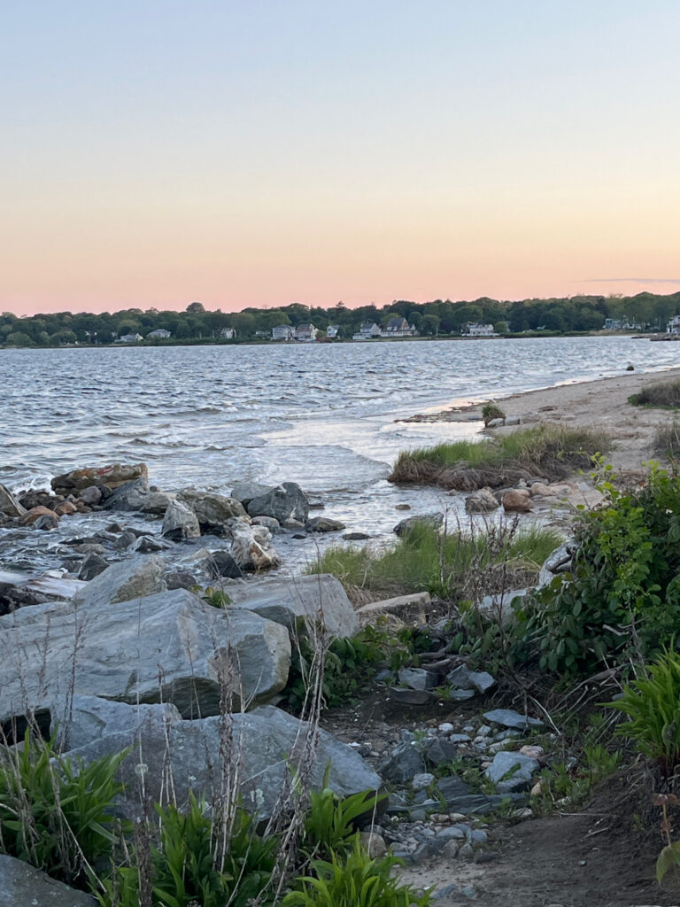 a rocky beach with a body of water in the background (MyCoast AI)