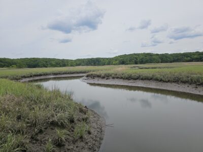 a body of water with grass and trees around it (MyCoast AI)