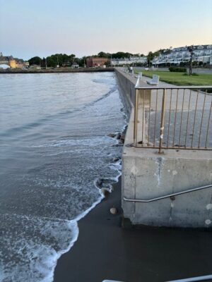 a body of water with a dock and buildings in the background (MyCoast AI)