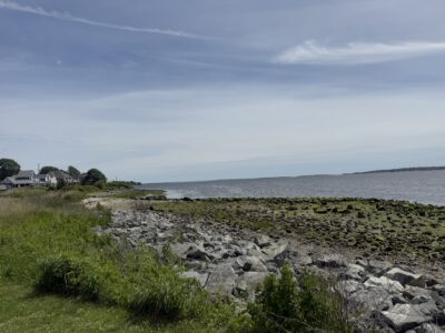 a rocky beach with grass and rocks (MyCoast AI)