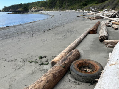a beach with logs and a hole (MyCoast AI)