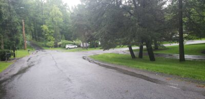 a road with trees on the side (MyCoast AI)