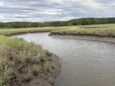 a river with grass and trees (MyCoast AI)