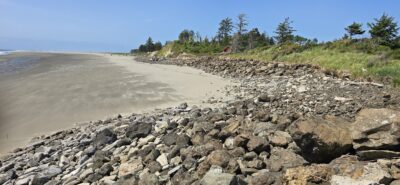 a rocky beach with trees in the background (MyCoast AI)