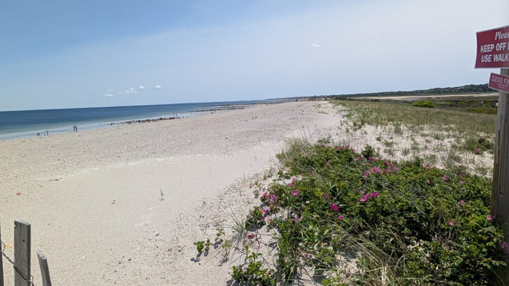 a beach with flowers and a sign (MyCoast AI)