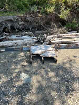 a bench sits in the middle of a pile of logs (MyCoast AI)