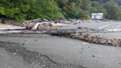 a large log on a beach (MyCoast AI)
