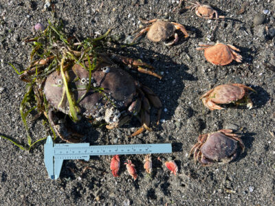 a sign on the ground (MyCoast AI)