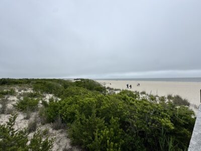 a group of people walking on a path by a beach (MyCoast AI)