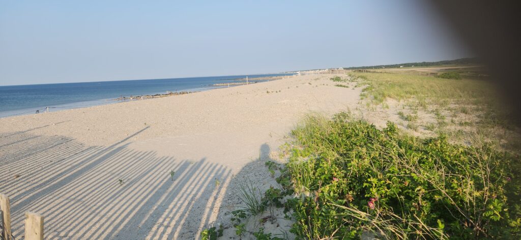 a sandy beach with a body of water in the background (MyCoast AI)