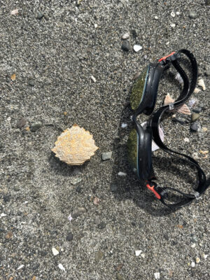 a pair of black glasses on a rocky surface (MyCoast AI)