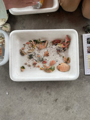 a tray of food (MyCoast AI)