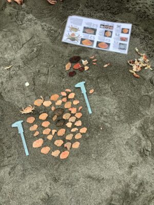 a box of food and a box of food on the ground (MyCoast AI)