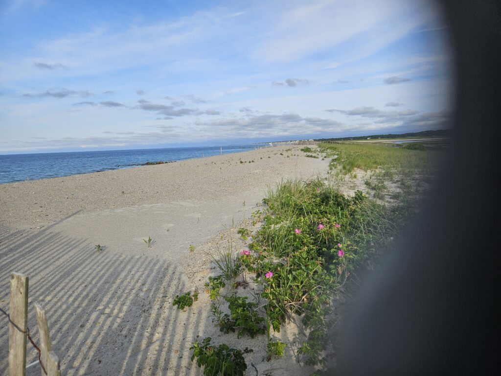 a beach with a fence and flowers (MyCoast AI)