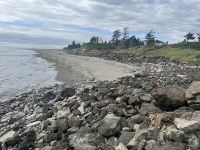 a rocky beach with trees and a hill in the background (MyCoast AI)