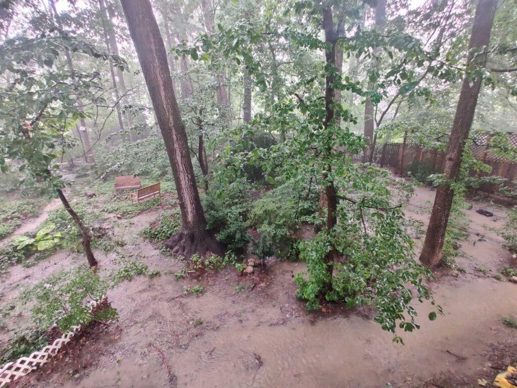 a bench in a wooded area (MyCoast AI)