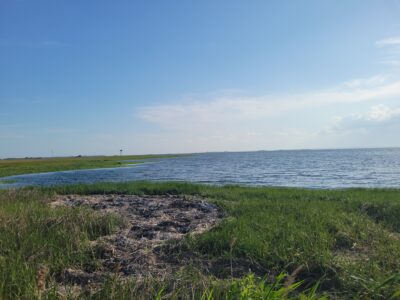 a body of water with grass and a land with a rock in the middle (MyCoast AI)