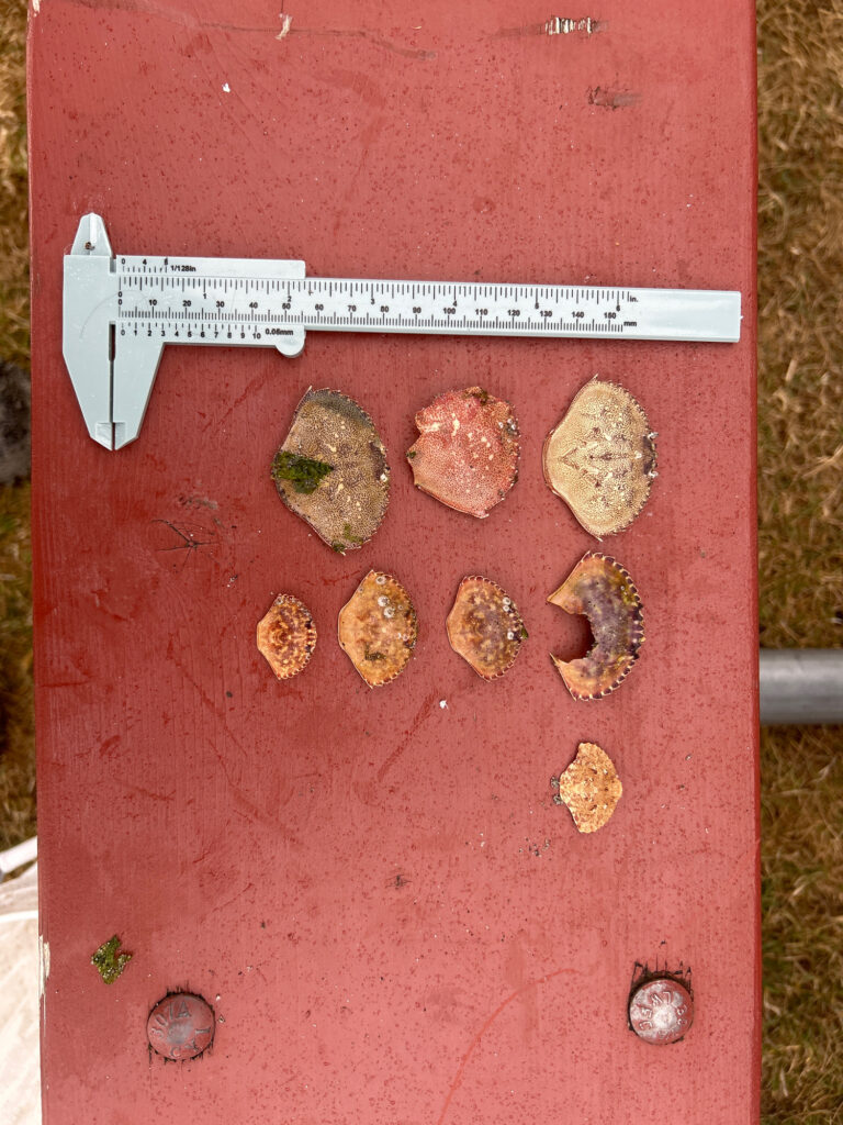 a red rectangular object with a sign on it (MyCoast AI)