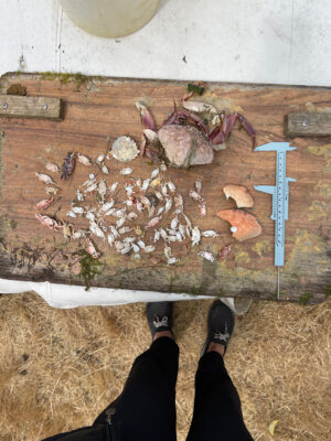 a person's feet on a pile of meat (MyCoast AI)