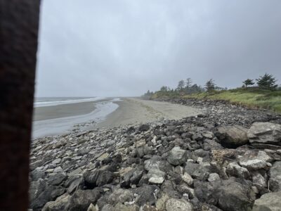 a rocky beach with trees and water (MyCoast AI)