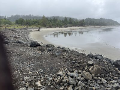 a rocky beach with trees in the background (MyCoast AI)