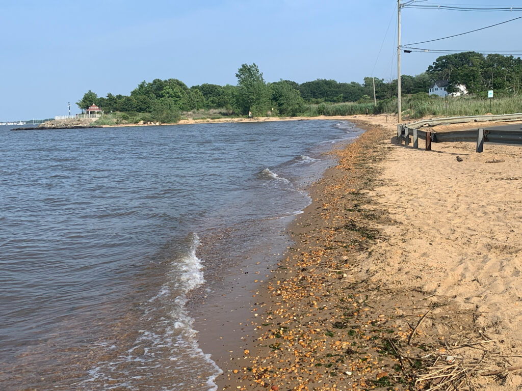 a beach with a pier and a body of water (MyCoast AI)