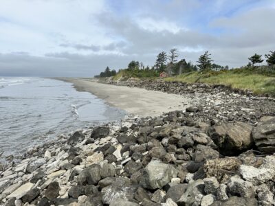 a rocky beach with trees and a body of water (MyCoast AI)