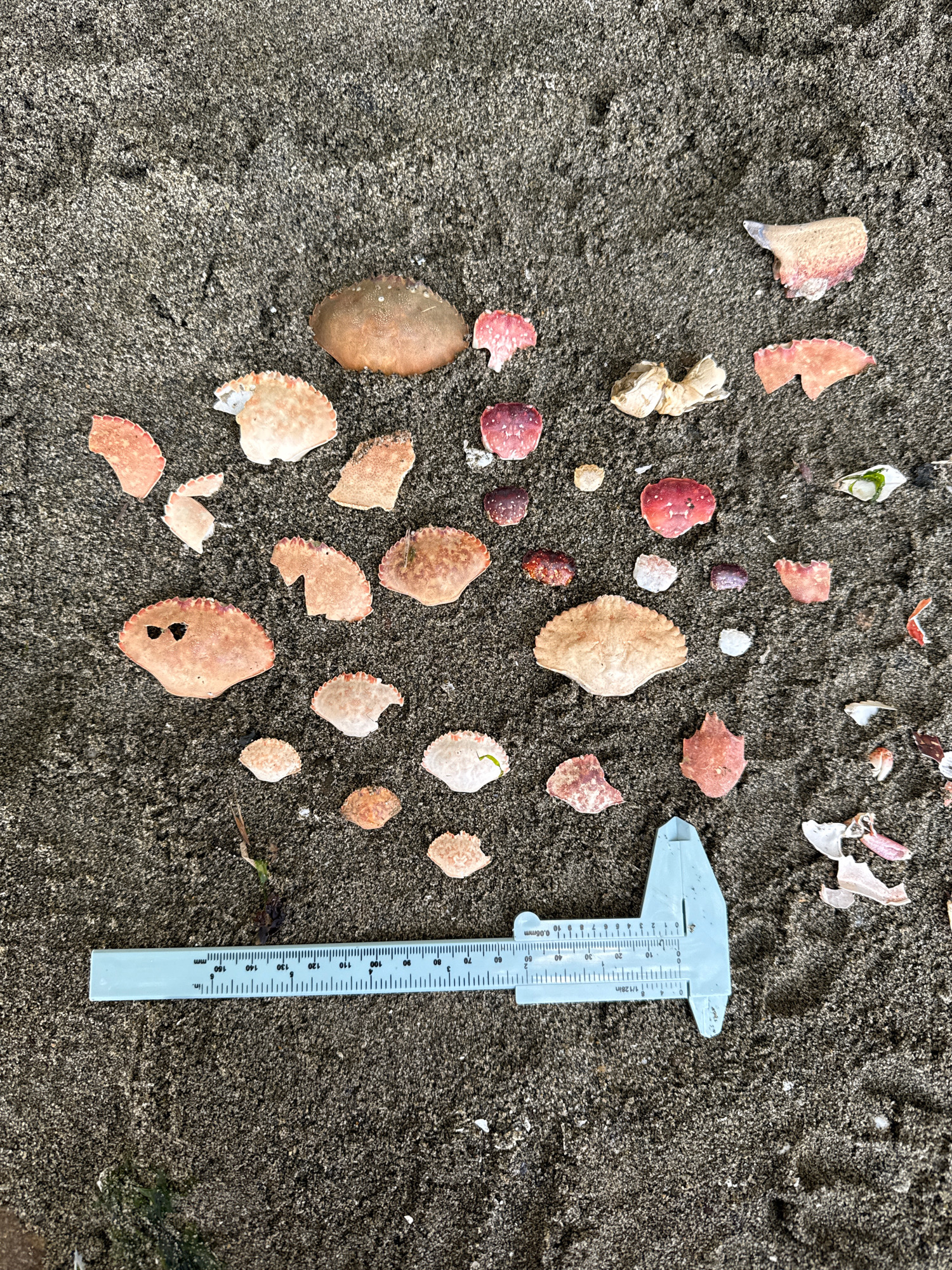 4a0019f92af60dd7f50816c10fbea43f46f362f6