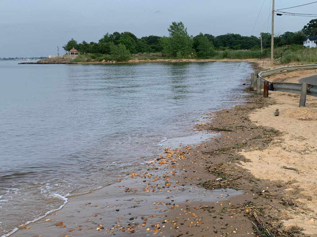 a beach with a pier and a body of water (MyCoast AI)
