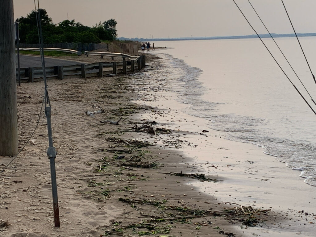 a beach with a pier and a body of water (MyCoast AI)