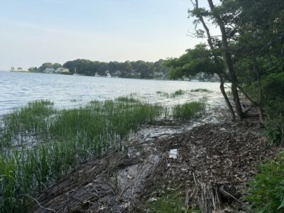 a body of water with trees and grass around it (MyCoast AI)